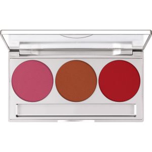 PROFESSIONAL TRIO BLUSHER SET - Matt